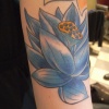 lotus