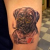 poker dog