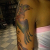 phoenix