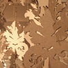 Kelp Interior, detail