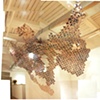 Drift Net