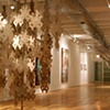 Second Nature installation view, south