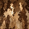 Kelp Interior, detail