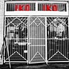 IKO IKO by Kristin Dickinson