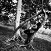 Tree lounging