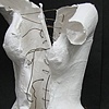 3-D Design, Plaster and the Human Form