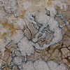 Paintings