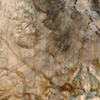 Rhizomorphious: Cycles and Entrails