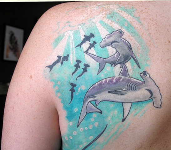 TRISH'S SHARKS