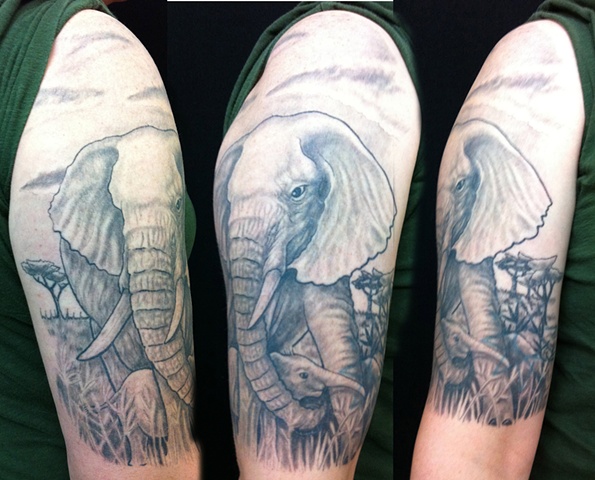 Kerry's Elephants