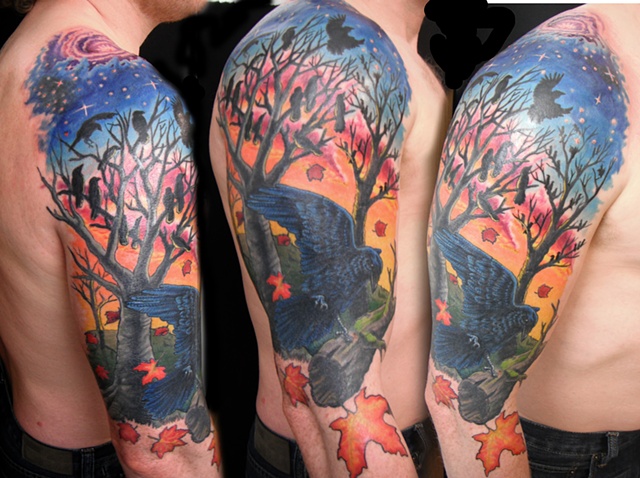 shads arm