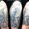 Kerry's Elephants