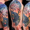 shads arm