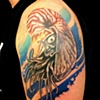 Chris's Chambered Nautical Squid