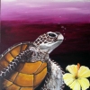 Aloha turtle