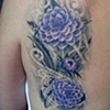 Kate's Flowers