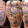 COURTNEY'S KOI
