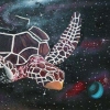Space turtle