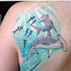 TRISH'S SHARKS