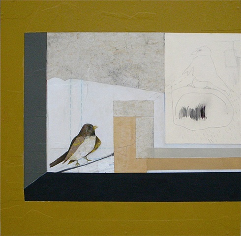 Bird in Spaceland/Bird in Flatland
