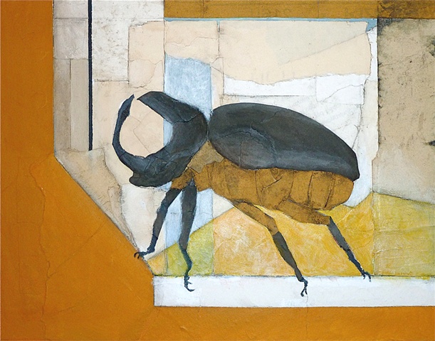 Rhinoceros Beetle