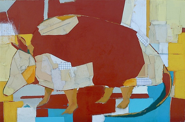 Armadillo