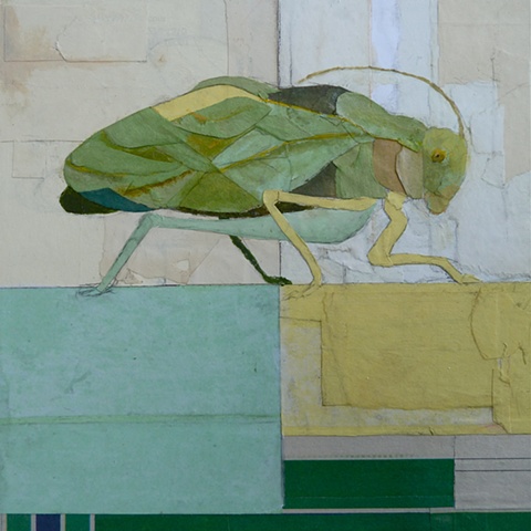 Katydid