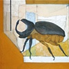 Rhinoceros Beetle