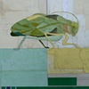 Katydid
