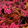 Pink Shit