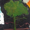 Midnight Tree at the Side of the Road