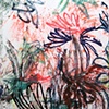 Breeze of May Fragrance