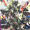 Black Flowers