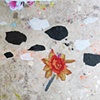 Flor