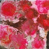 SLUDGE FLOWERS