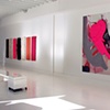 Installation shot: Pink Space and Elephant Parts

Blanc Gallery
Chicago, IL
November 2011 - February 2012