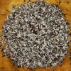 Shredded Circle
