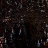 Many Pieces Lined in Rows