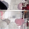 Delicacies reflection