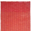 PINKSpace:Potential