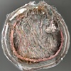 Cross section:  Bride Doll