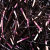 Pink Space: Sound
DETAIL