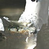 Ice Cave