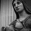 Matriarch 3