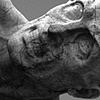 Anguish