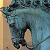 Firenze Steed