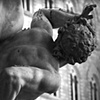 Firenze Fear