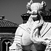 Sentinel