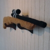 Gun