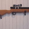 Gun